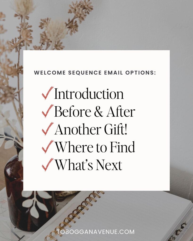Email List Welcome Sequence - Email Option